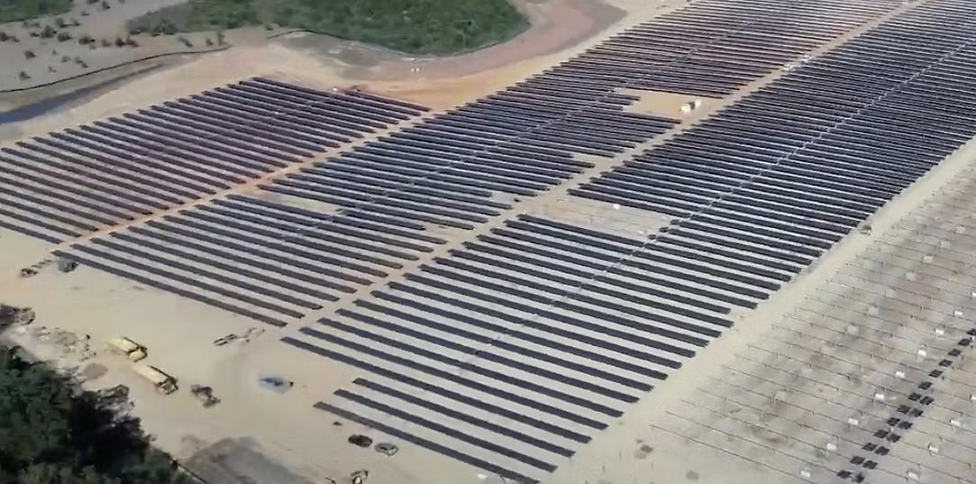 Industrial solar development impact on forest land